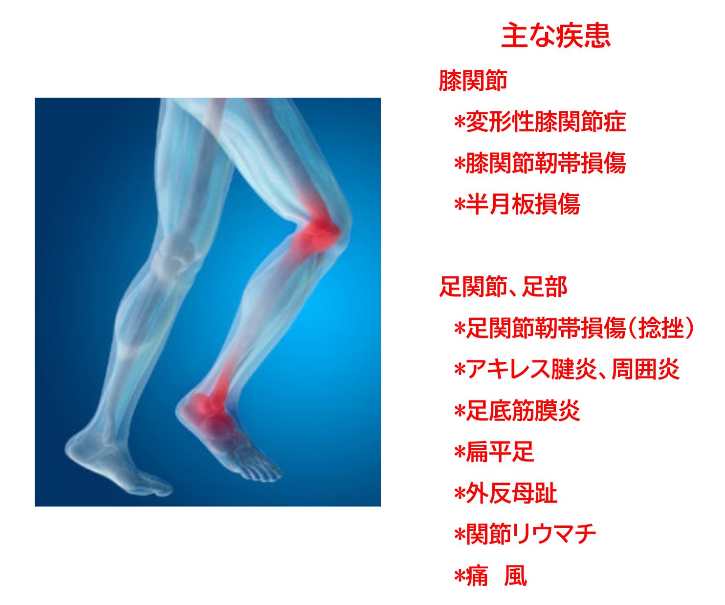 膝関節 足関節 足部の症状 疾患 岡野整形外科